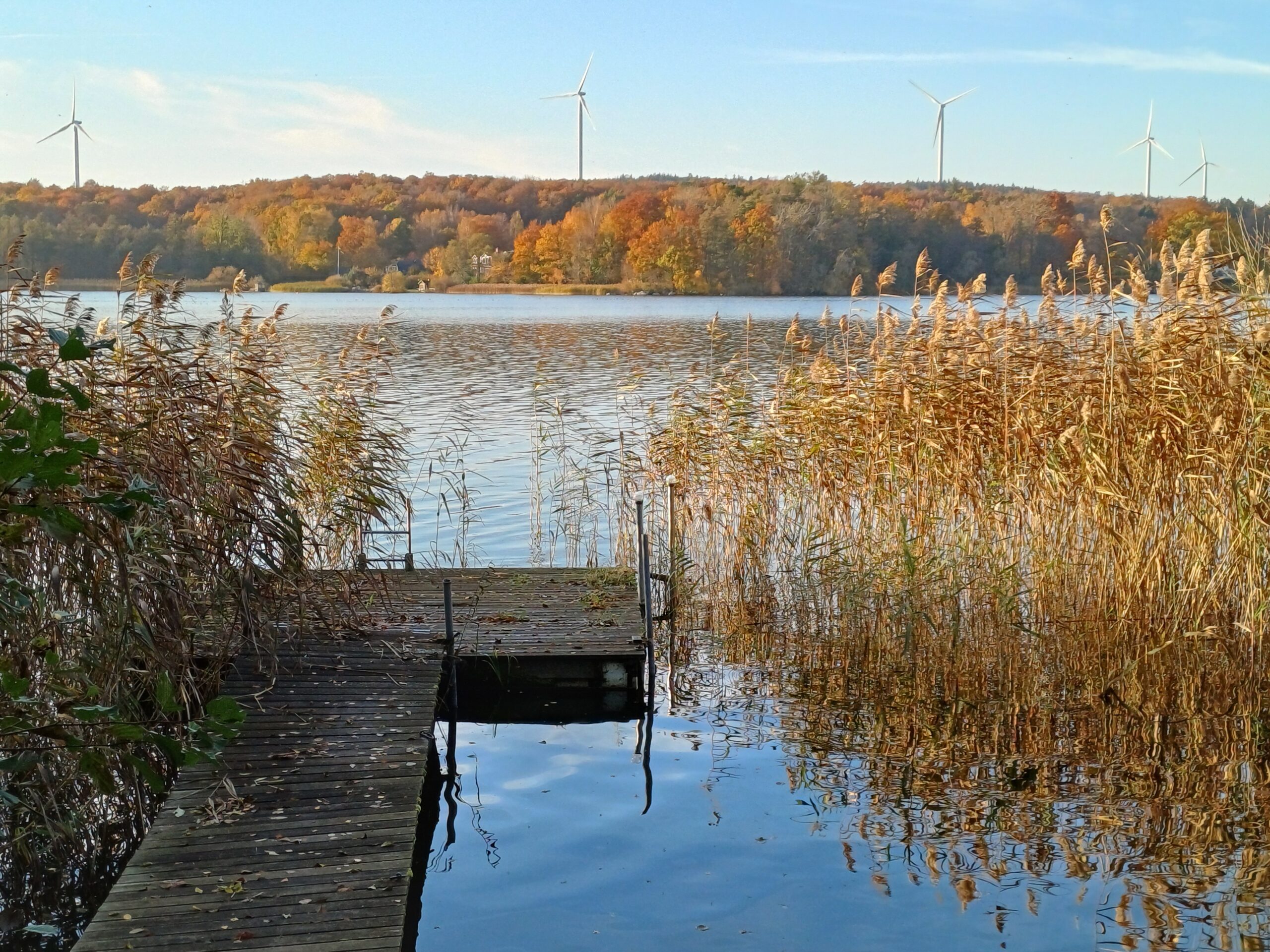 Vinnare Fototävling Landskapsdagen 2024-10-20